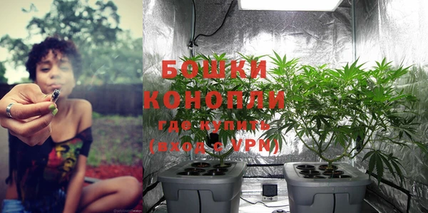 ешки Бородино