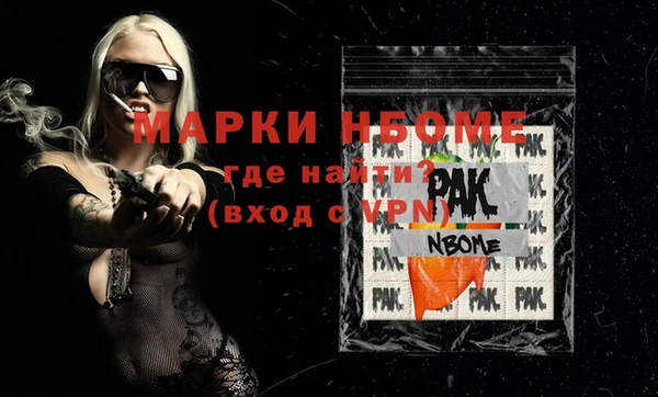 ешки Бородино