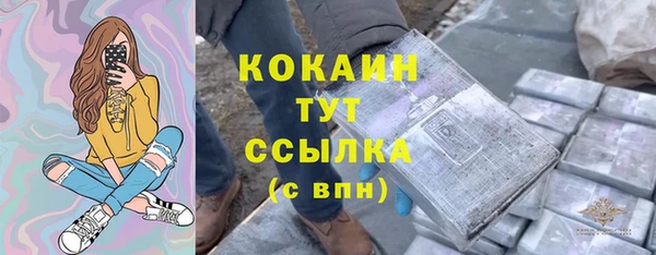 ешки Бородино