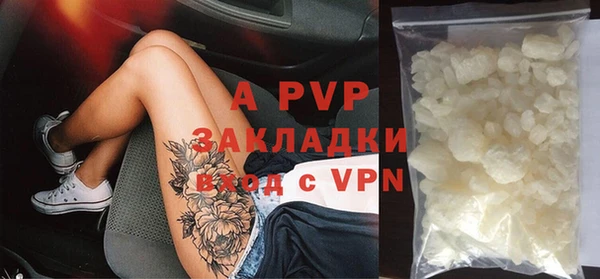 ешки Бородино